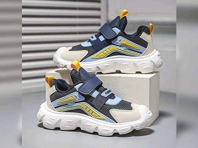 Botinetas
