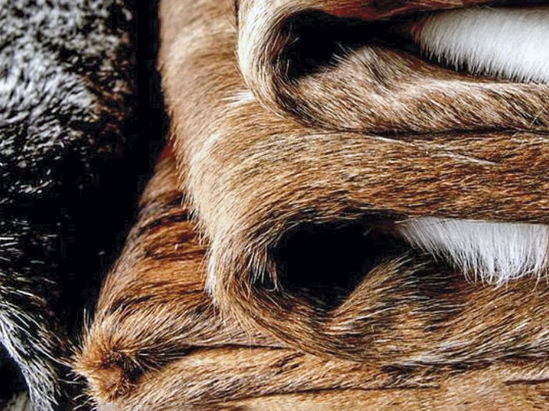 Materiales Otoño/Invierno 2026