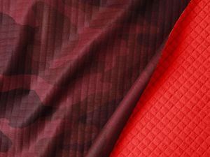 Gama de Colores presentada por PREMIÈRE VISION PARÍS 