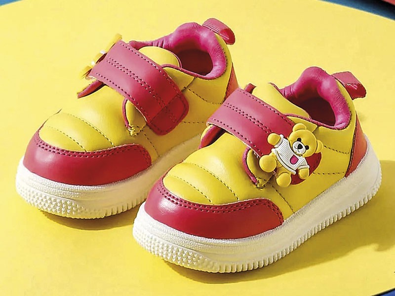 Zapatos / zapatillas