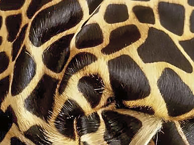 Materiales Otoño/Invierno 2026