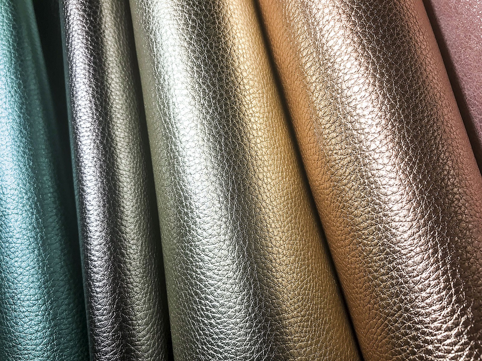 EXPOCAIPIC prepara su próxima edición en Octubre 2019