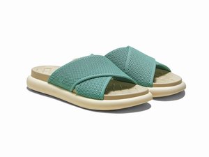 Apuntes Primavera/Verano 2025-26