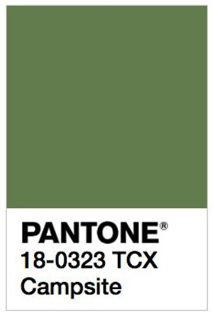 PANTONE 18-323 TCX - CAMPSITE - FOOTWEAR - CALZADO SERMA.NET.jpg