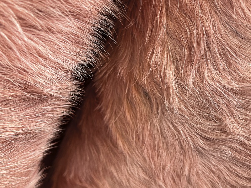 Materiales Otoño/Invierno 2026