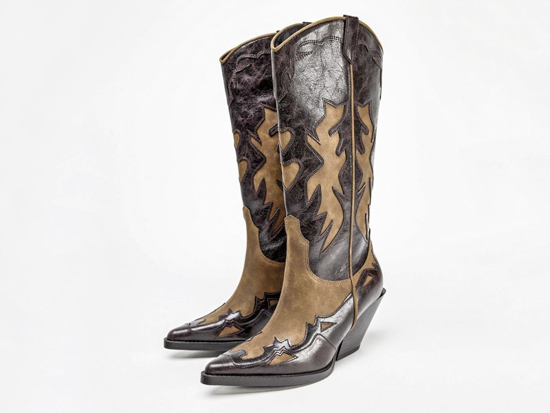 Botas / botinetas vaqueras