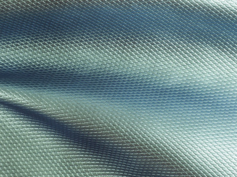 TENDENCIA MATERIALES CUERO OTOÑO INVIERNO 2024AW2425_LEA_BIZZARRO_PESCE_RIF_CA.jpg