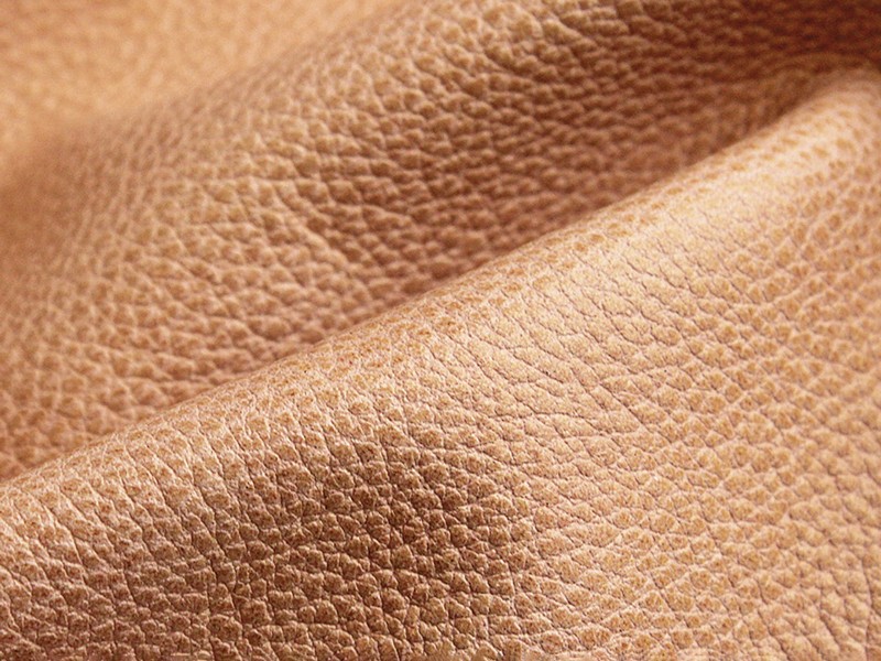 CUEROS: Tendencias Primavera-Verano 2026/27 