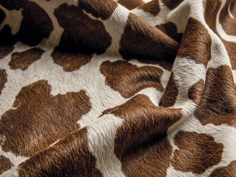 El animal print coordina colecciones de calzado femenino