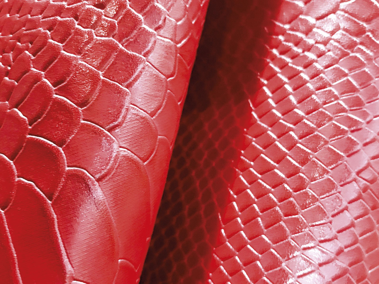 EXPOCAIPIC prepara su próxima edición en Octubre 2019