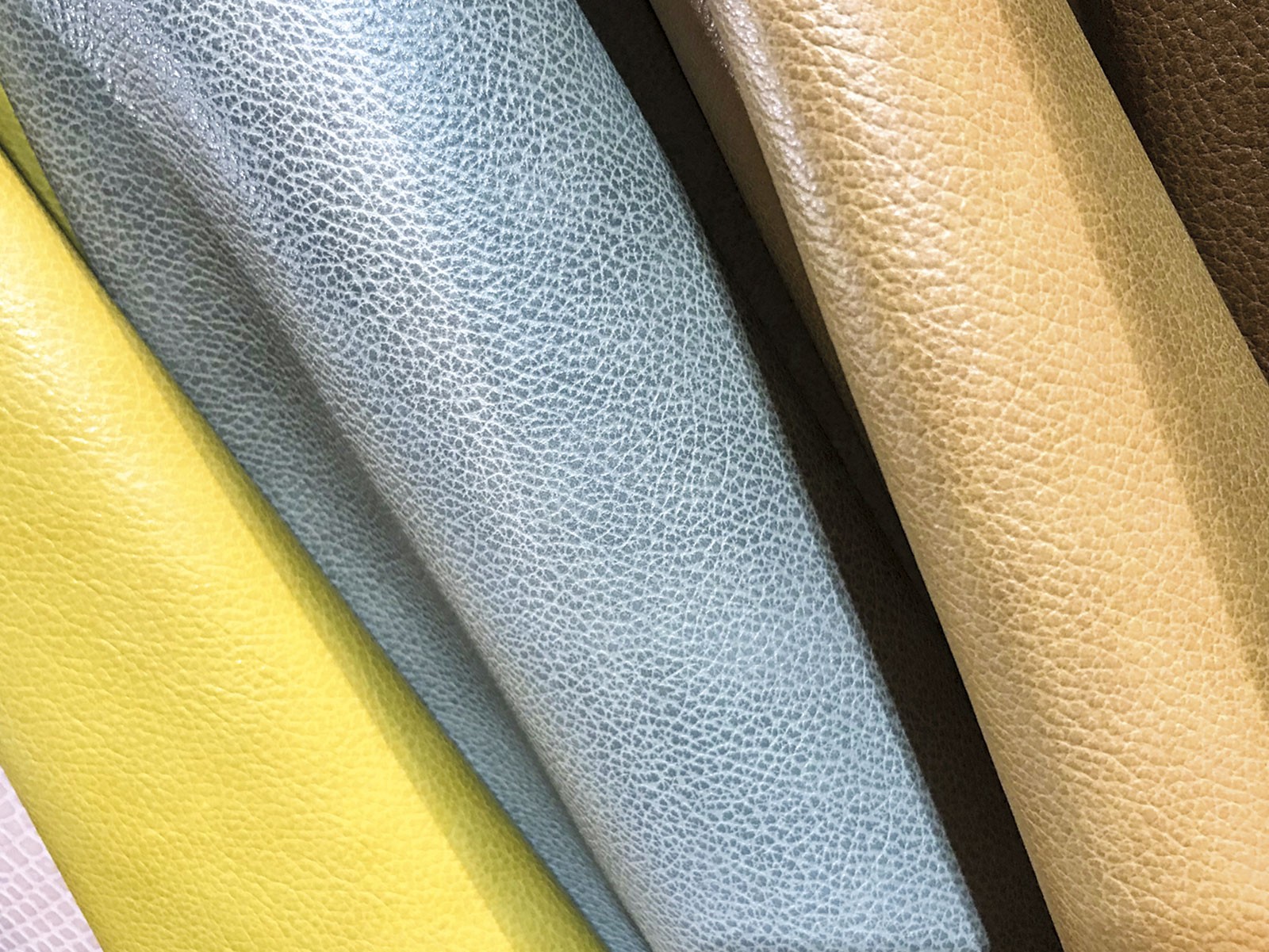 EXPOCAIPIC prepara su próxima edición en Octubre 2019